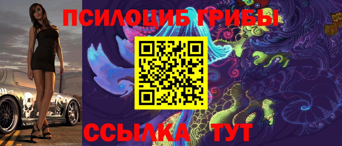 Галлюциногенные грибы Cubensis Беслан